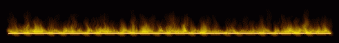 fireline.gif (74997 bytes)